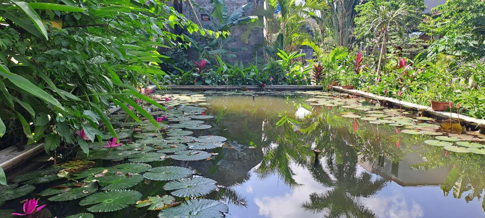 Apartamento Amy House Ninh Binh Exterior foto